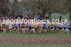 Mens Under-17s 2026 UK CAU Inter Counties Cross Country, Wollaton Park, Nottingham. Photo: David T. Hewitson/Sports for All Pics